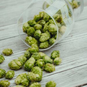 Beer Hops in a glass